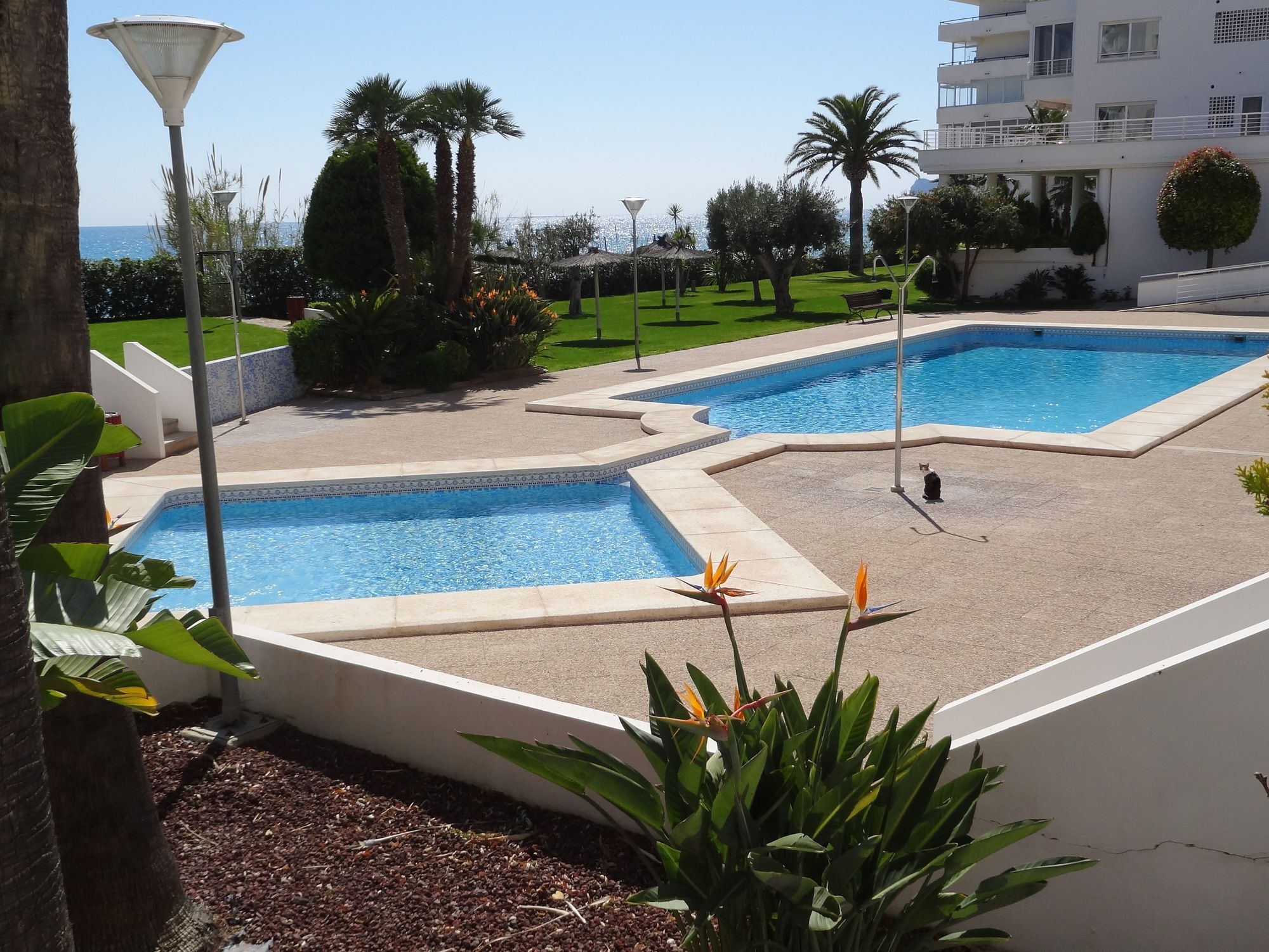 Cap Negret 18 Lägenhet Altea Exteriör bild